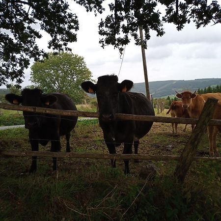 Vakantieverblijf Nature Stavelot Bagian luar foto