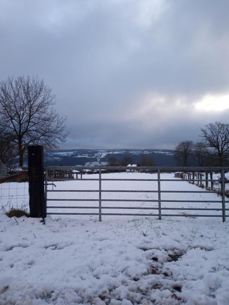 Vakantieverblijf Nature Stavelot Bagian luar foto