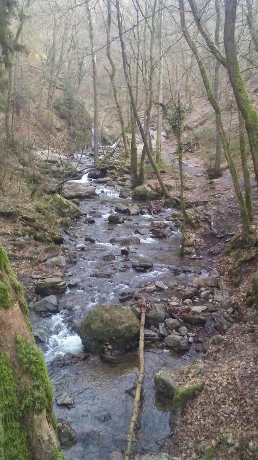 Vakantieverblijf Nature Stavelot Bagian luar foto