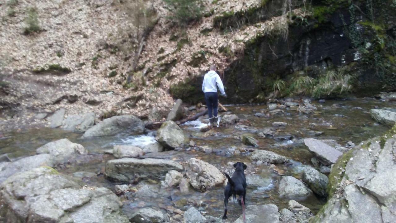 Vakantieverblijf Nature Stavelot Bagian luar foto