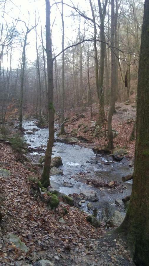 Vakantieverblijf Nature Stavelot Bagian luar foto