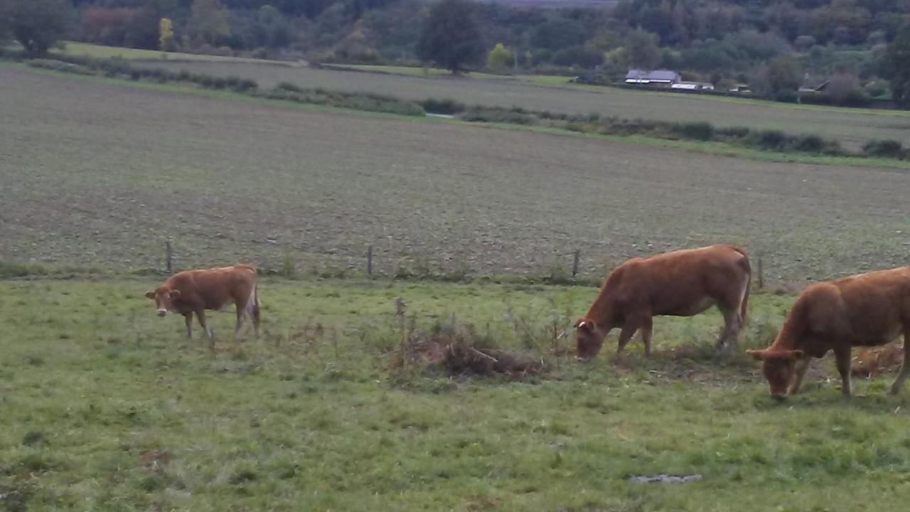 Vakantieverblijf Nature Stavelot Bagian luar foto